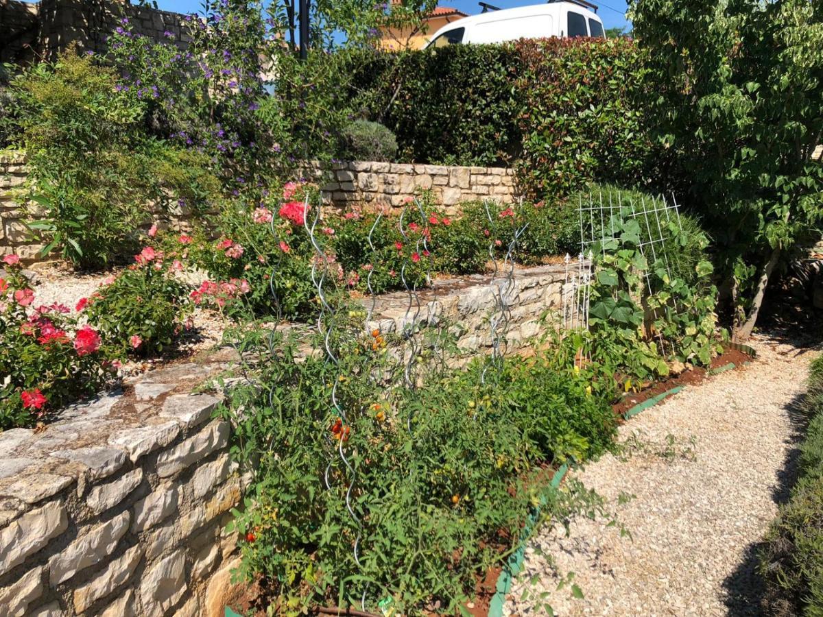 Villa Casa Stefanie à Kaštelir Extérieur photo